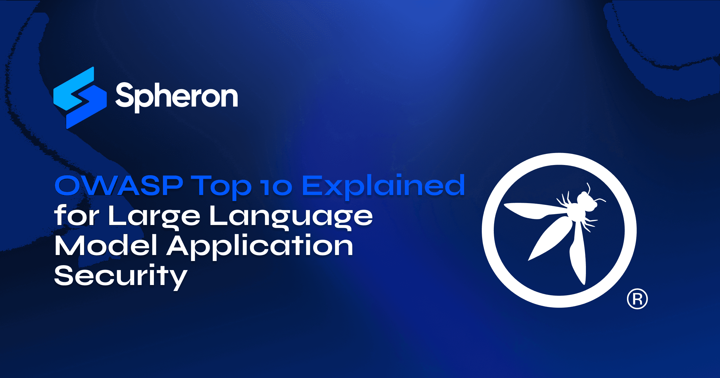 OWASP Top 10 Explained for Large Language Model Application Security